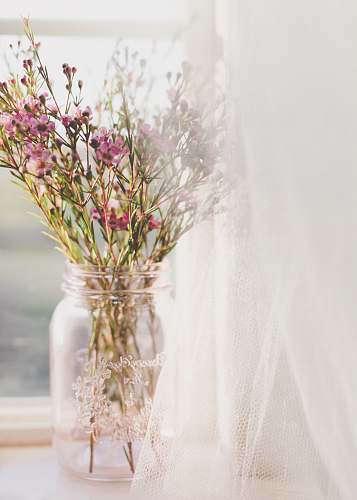 flower arrangement jar of pink-petaled flower near window flower bouquet